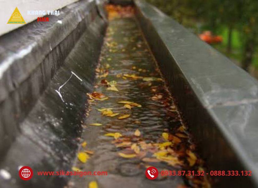 Dấu hiệu nhận biết khi bị thấm nước