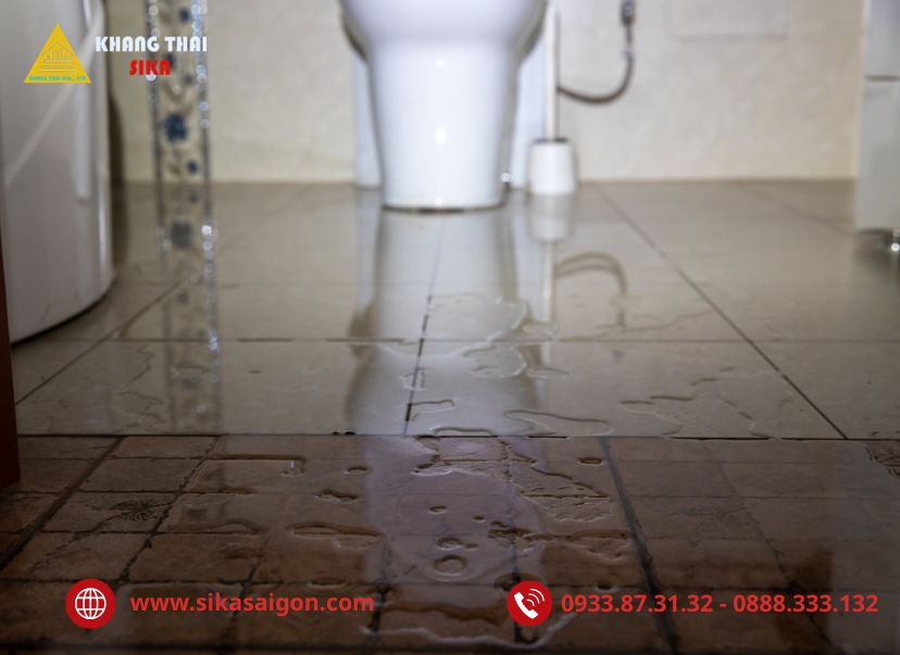 Nguyên nhân làm nhà vệ sinh và sê nô bị thấm nước